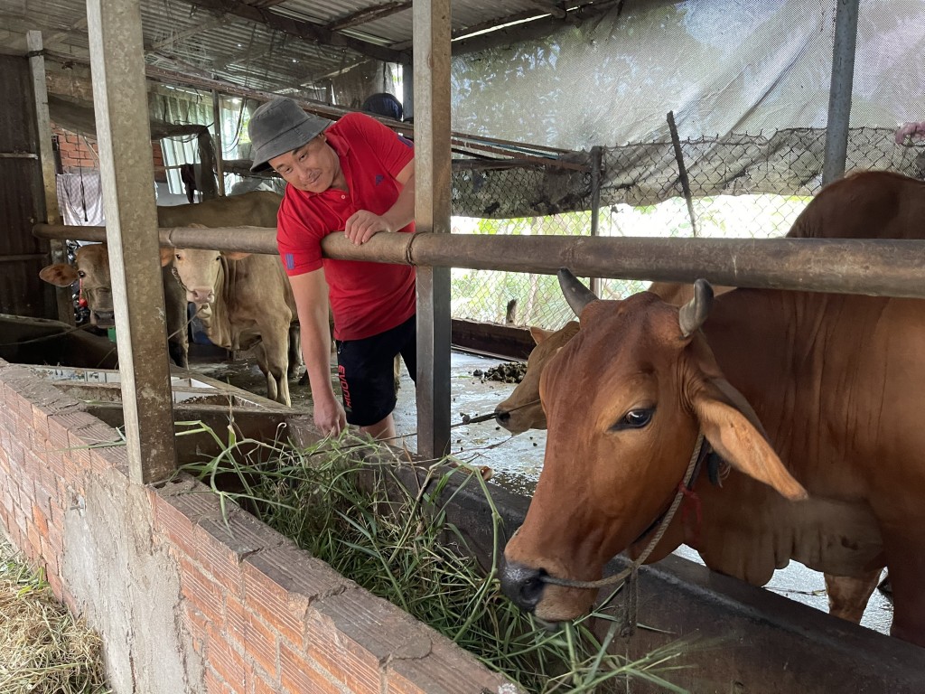 Bài 2: Đất đai lãng phí, chìm nổi phận đời