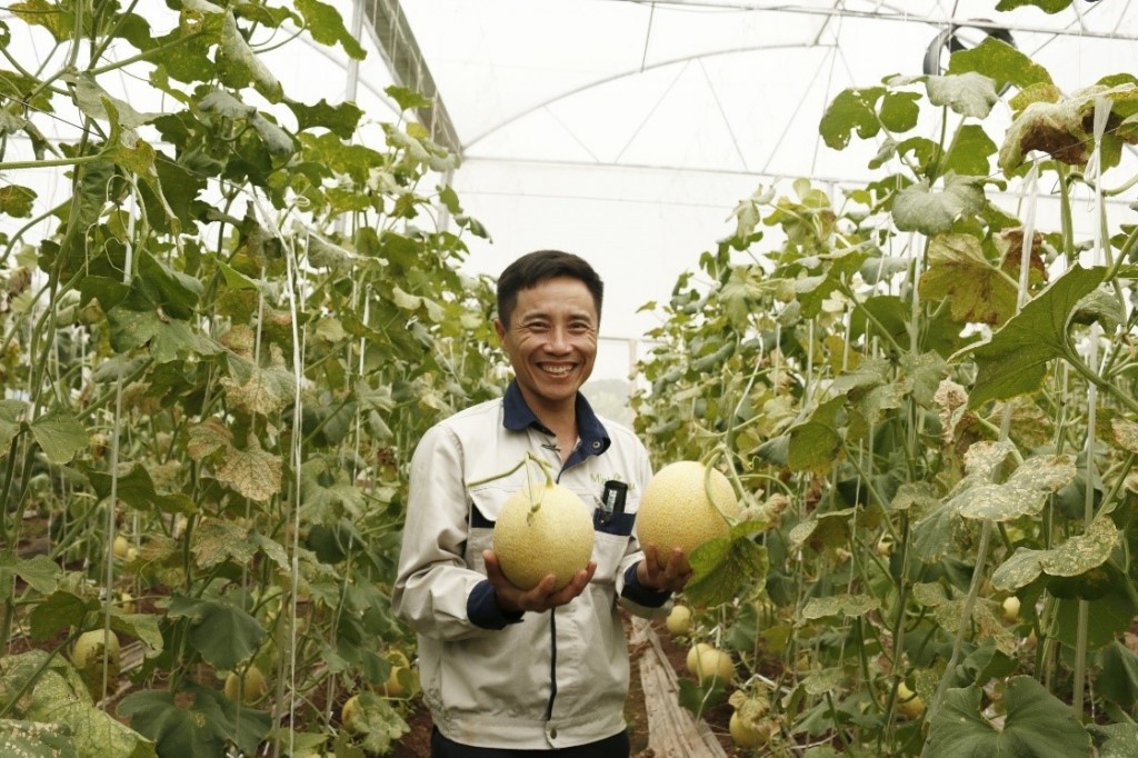 Huyện Ứng Hòa: Tận dụng lợi thế xây dựng nền nông nghiệp hiện đại, bền vững