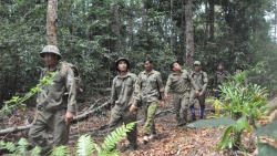 Kỳ 3: Cần chính sách đặc thù để "giữ chân" lực lượng bảo vệ rừng