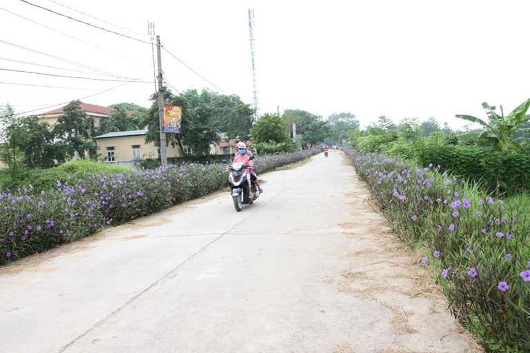 Bài 2: Phú Mãn với chặng đường vô cùng đáng nhớ