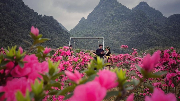 Suy ngẫm từ bài thơ 