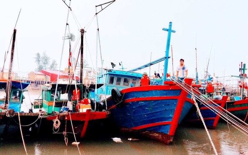 Tàu thuyền trú bão tại Đồ Sơn, Hải Phòng