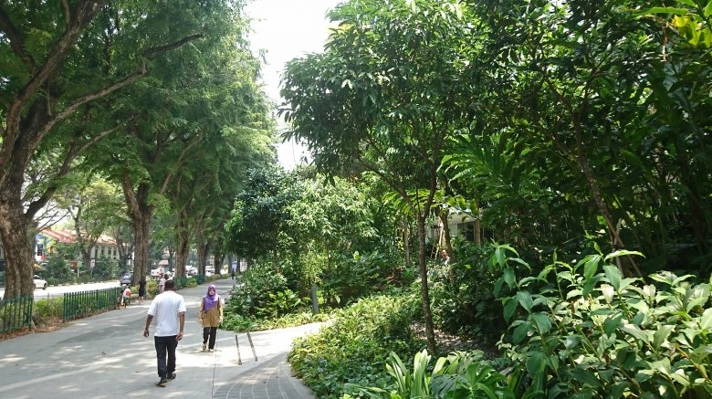Singapore là một trong những thành phố xanh nhất thế giới (Ảnh: Natural Walking Cities)