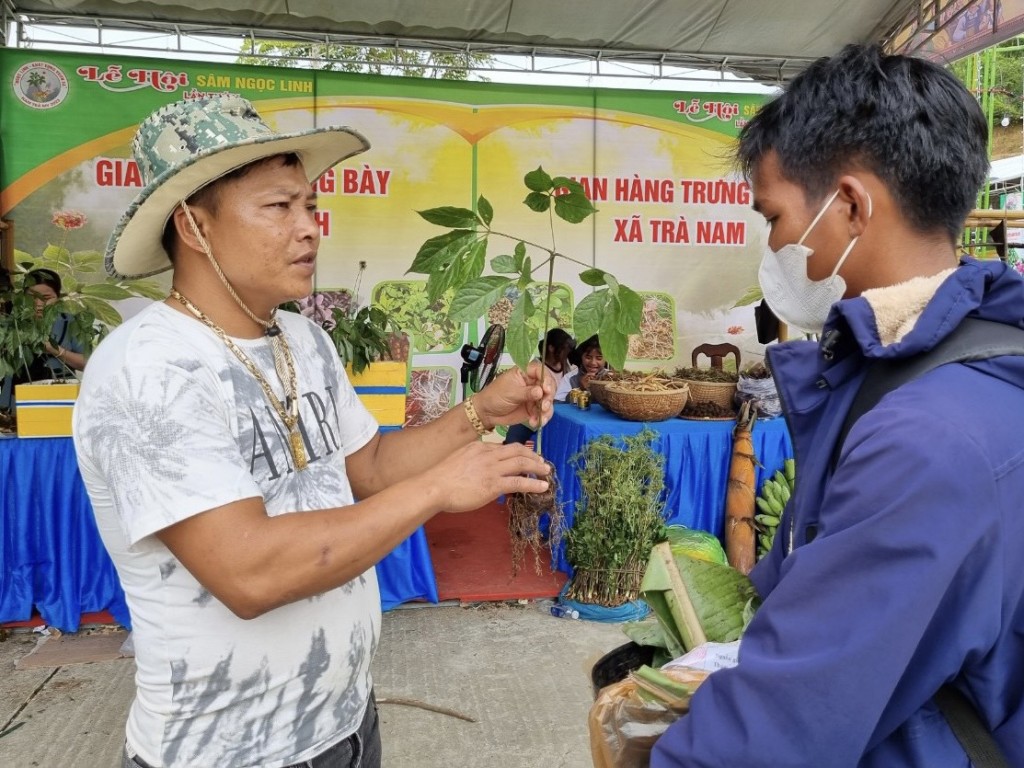 Quảng Nam: Khai mạc Lễ hội sâm Ngọc Linh lần thứ V