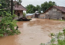 Mưa lớn gây ngập lụt tại Gia Lai, Đắk Lắk và Đắk Nông hoa màu thiệt hại nặng nề