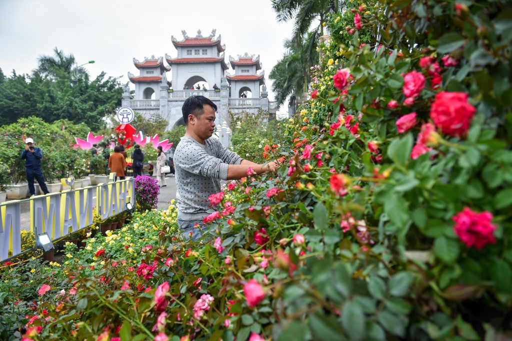 Bài 2: Sống bằng các giá trị văn hoá