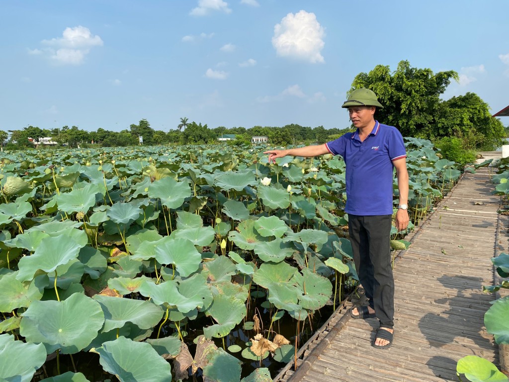 Bài 3: Nông dân vượt khó, làm giàu cho quê hương