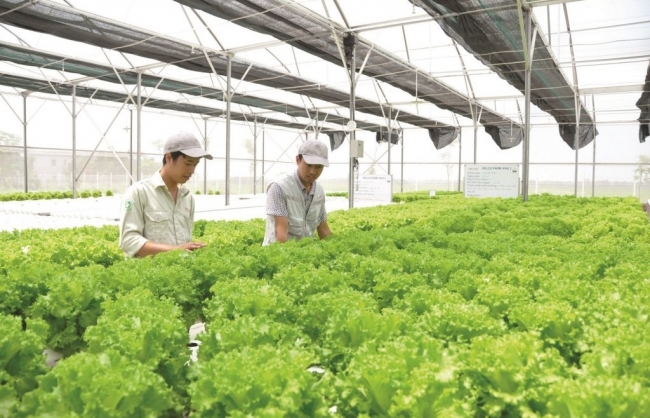 Hà Nội công bố 28 thủ tục hành chính nội bộ lĩnh vực nông nghiệp và môi trường