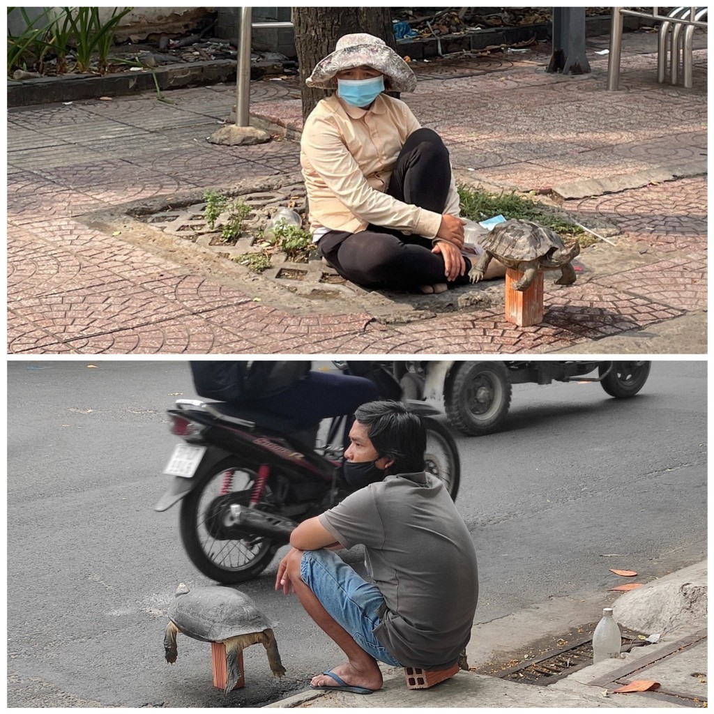 TP Hồ Chí Minh và Hà Nội là 2 tỉnh