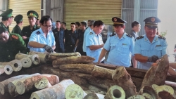 TP Hồ Chí Minh có tỷ lệ xử lý thành công tin báo về động vật hoang dã thấp