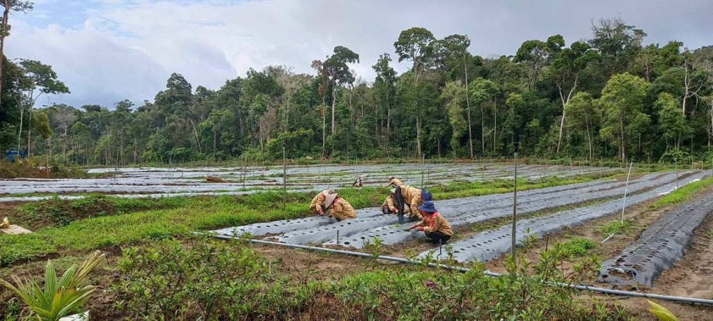 Kon Tum: Thanh tra chỉ rõ hàng loạt sai phạm tại các dự án ở Măng Đen