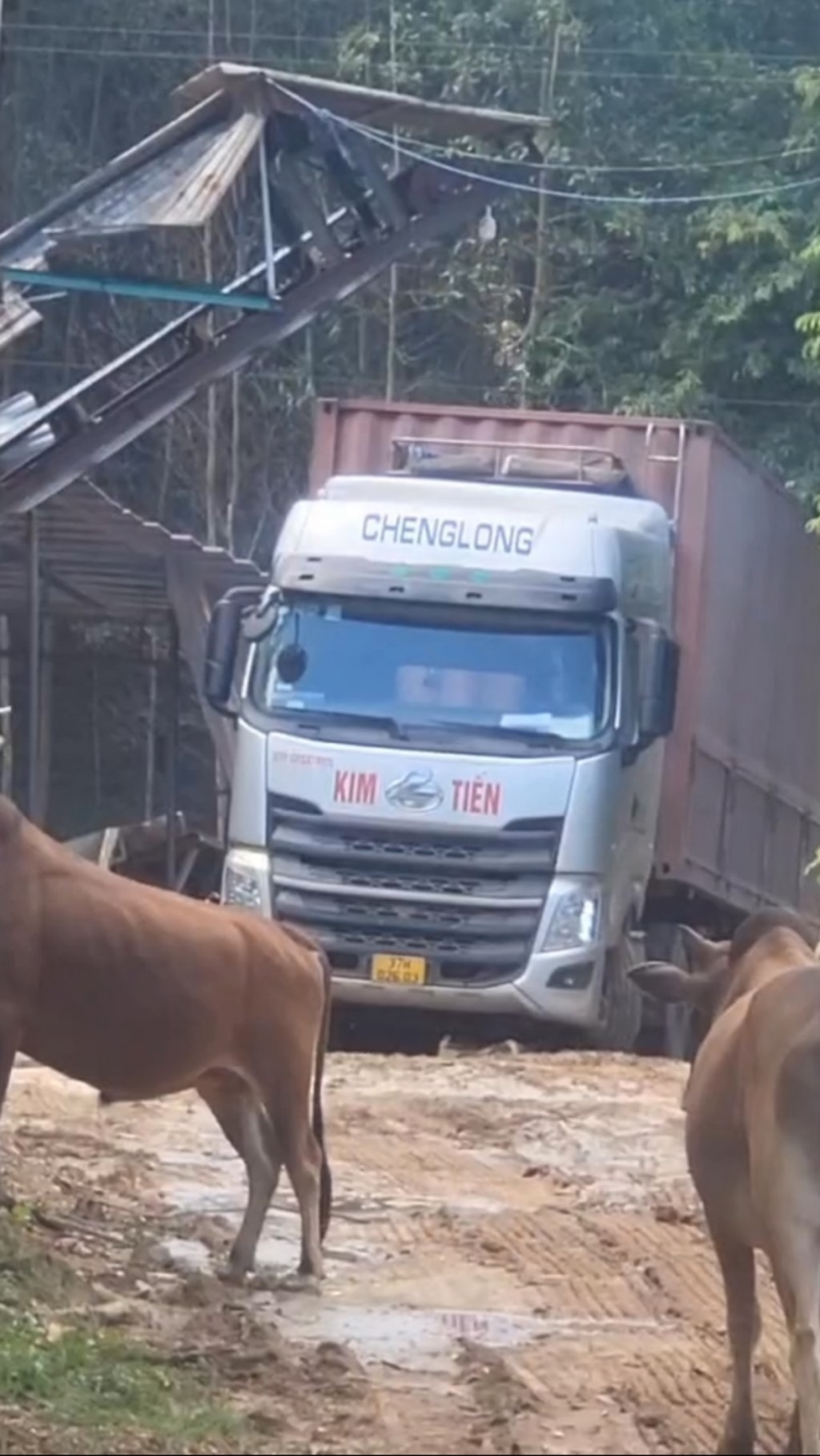 Xưởng băm dăm gỗ của Công ty TNHH Tuyên Quang thiếu thủ tục pháp lý, nhưng vẫn hoạt động rầm rộ.