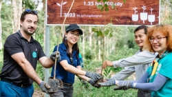 Triển khai trồng 1,25ha rừng tại Đồng Nai