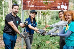 Triển khai trồng 1,25ha rừng tại Đồng Nai