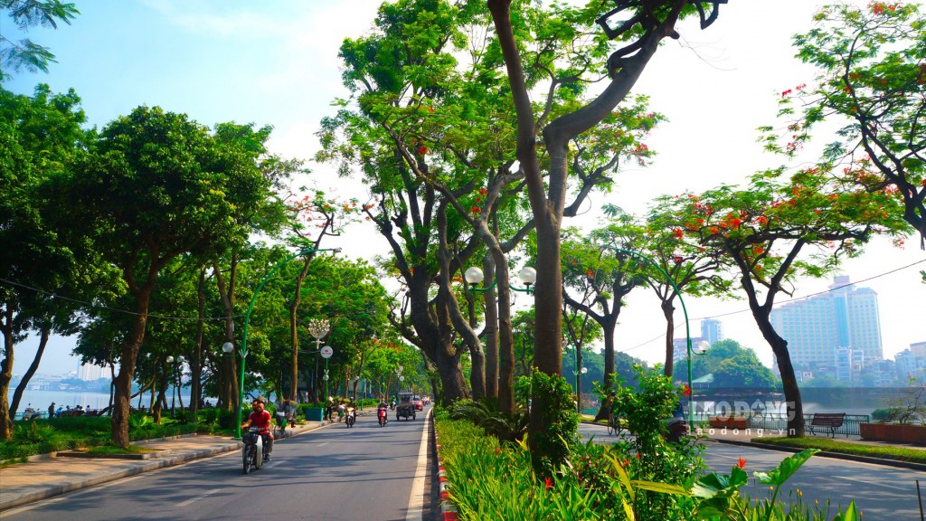 Trào dâng tình bạn, tình đời