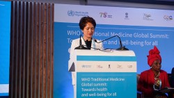 Lãnh đạo Công ty Sao Thái Dương tham dự Hội nghị thượng đỉnh toàn cầu về y học cổ truyền