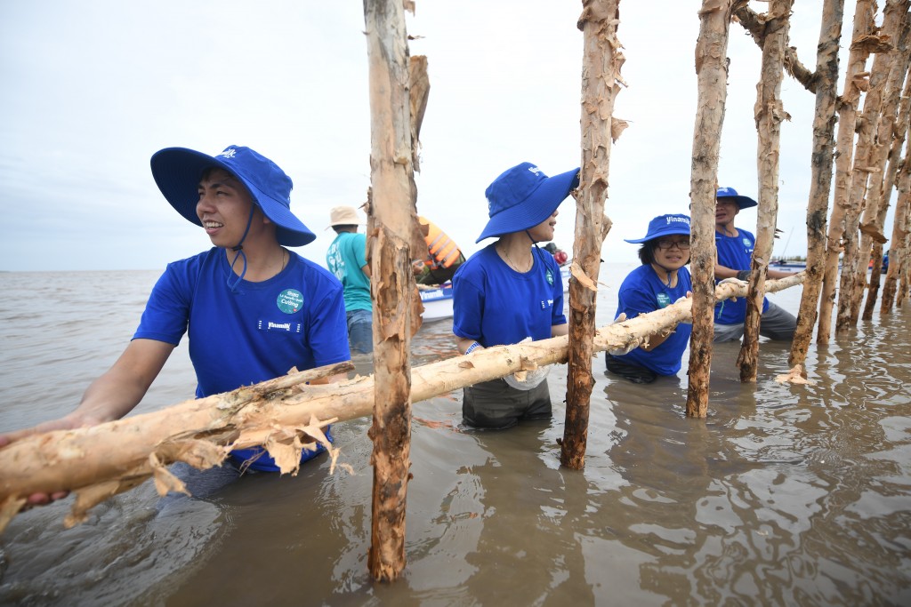 Với 25ha rừng được khoanh nuôi tái sinh, sẽ có gần 2.400m hàng rào được dựng nên từ 6.800 cọc cừ tràm và gần 4.700m lưới; được duy trì, bảo dưỡng hàng năm