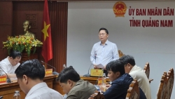 Quảng Nam: Phát hiện 9 vụ tố cáo có kết quả vừa đúng vừa sai