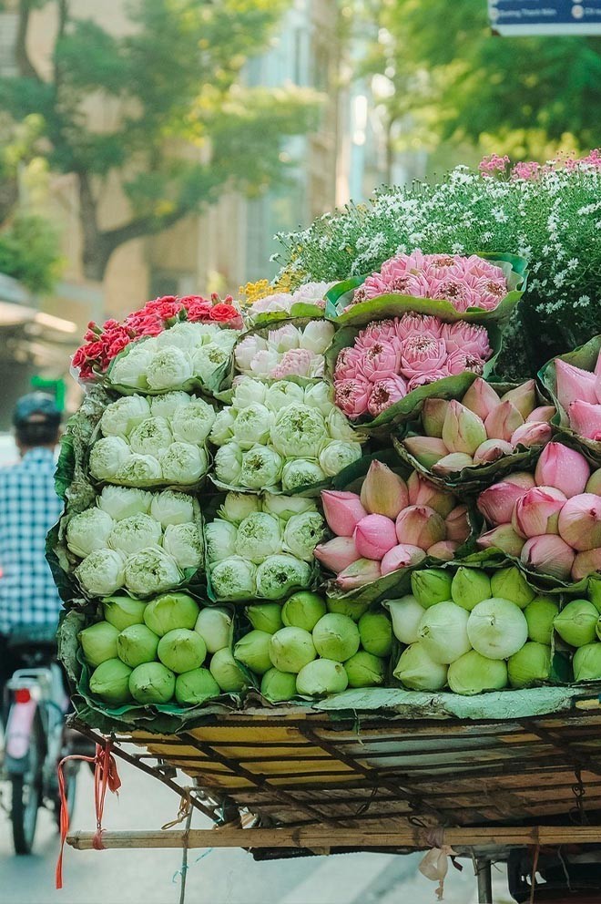 "Bỏ túi" những điểm check in mùa thu Hà Nội