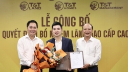 Chủ tịch HĐQT Đỗ Vinh Quang kiêm giữ chức Tổng Giám đốc T&T Land và T&T Homes