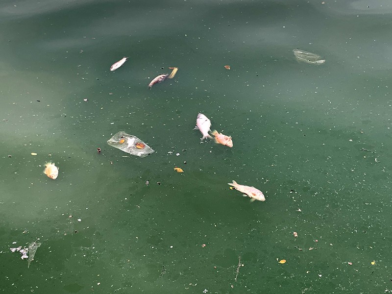 Vận động người dân không xả rác, túi nilon, vàng mã để bảo vệ môi trường Hồ Tây