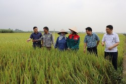 Bài 2: Nỗ lực từ sự đồng thuận, đồng lòng của Nhân dân