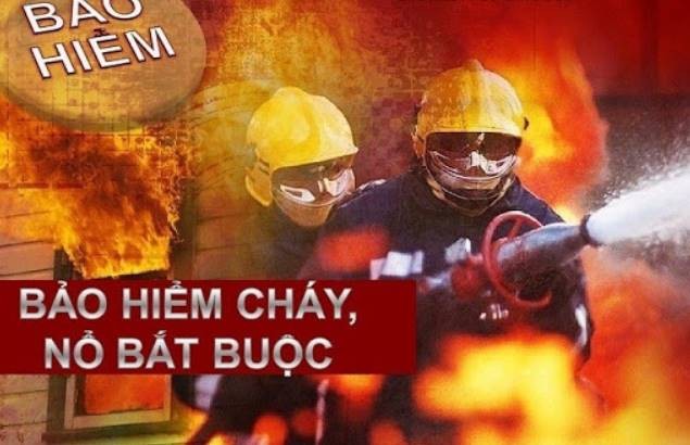 Quy định về bảo hiểm bắt buộc trách nhiệm dân sự của chủ xe cơ giới, bảo hiểm cháy, nổ bắt buộc…