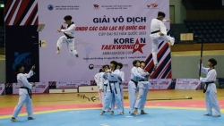 Đà Nẵng: 1.200 vận động viên dự giải Taekwondo các câu lạc bộ quốc gia 2023