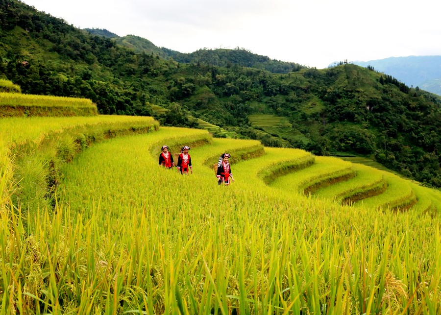 Trải nghiệm tuần văn hóa du lịch Hà Giang