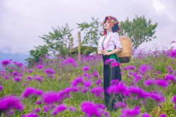Xiêu lòng với đồi hoa tím đẹp như mơ ở Fansipan ngay lúc này