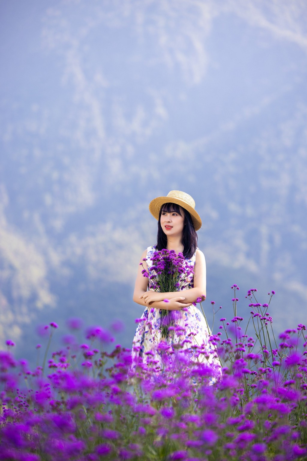 Xiêu lòng với đồi hoa tím đẹp như mơ ở Fansipan ngay lúc này
