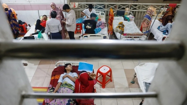 Quốc gia Nam Á bùng phát dịch sốt xuất huyết tồi tệ