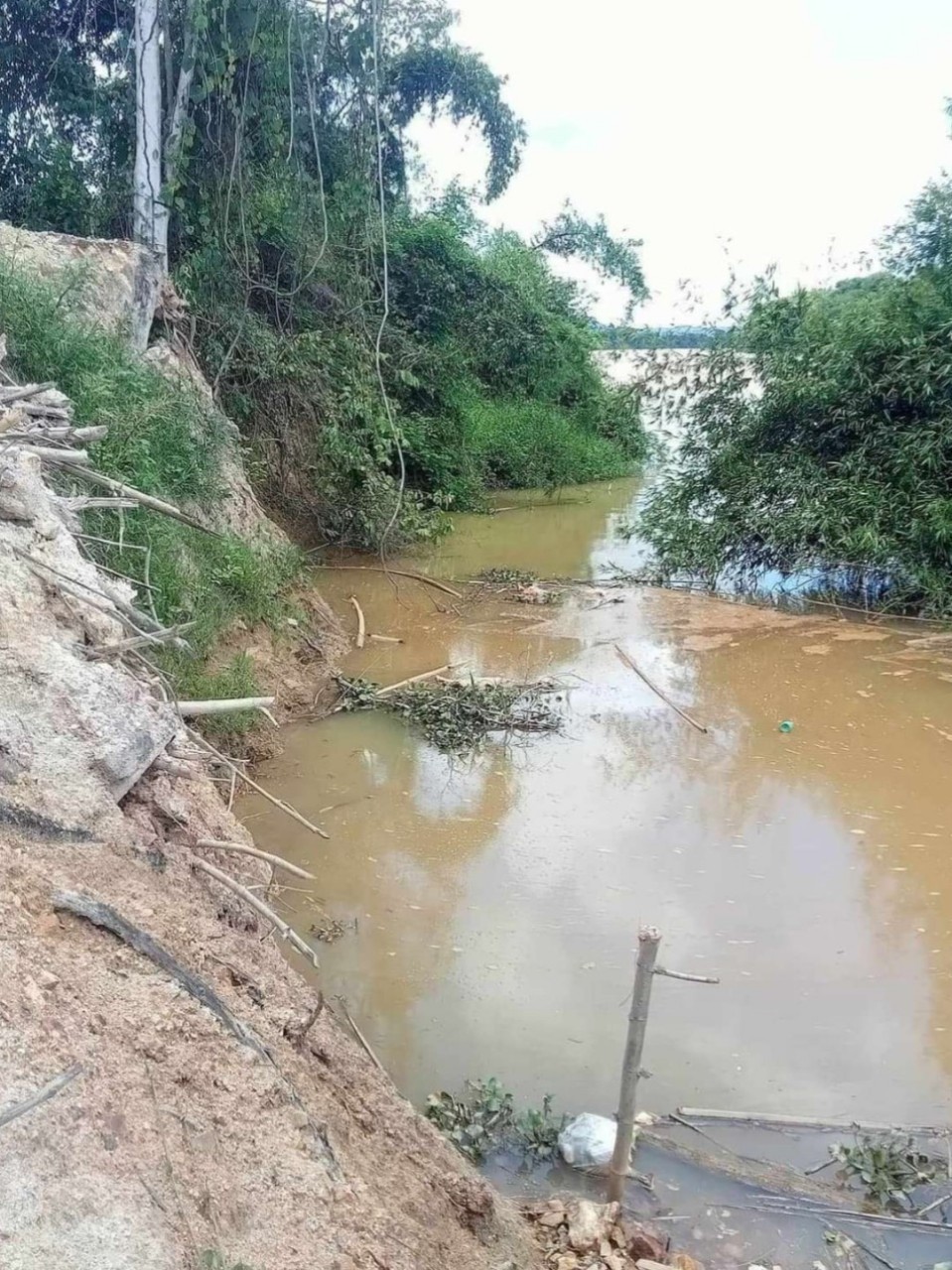 Sở Tài nguyên và Môi trường có làm ngơ chỉ đạo của UBND tỉnh Đồng Nai?