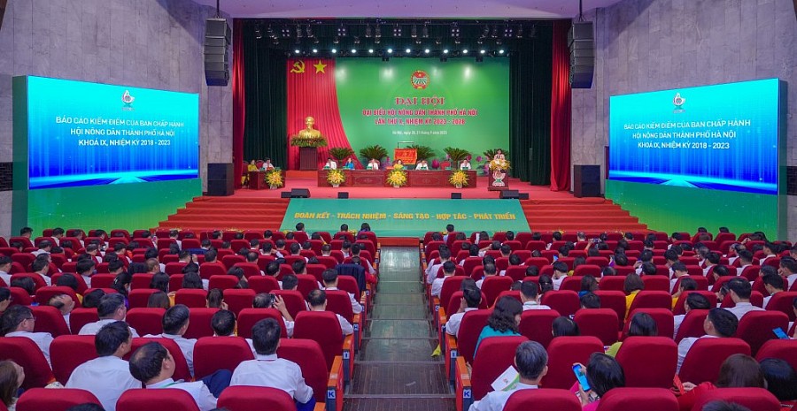 Xây dựng chuỗi liên kết, củng cố, kiện toàn các HTX nông nghiệp