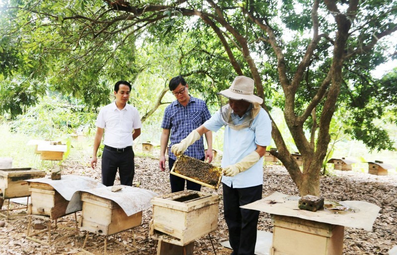Tại sao linh vật là con ong lại xuất hiện trong lễ hội Trung thu thành cổ Sơn Tây?