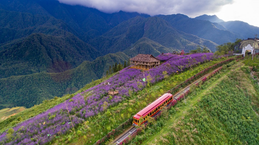 Tàu hỏa leo núi Mường Hoa không chỉ rút ngắn thời gian di chuyển tới nhà ga cáp treo mà còn đưa du khách chiêm ngưỡng khung cảnh hùng vỹ của Tây Bắc.