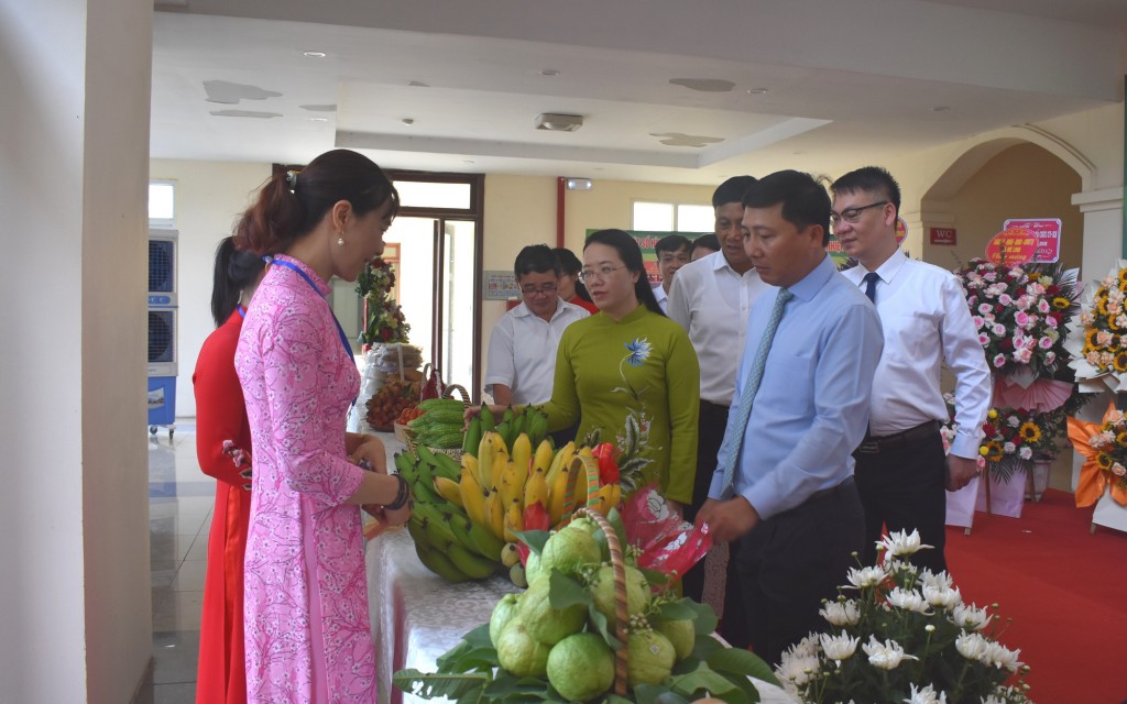 Làm giàu nhờ trồng chuối trên bãi sông Hồng