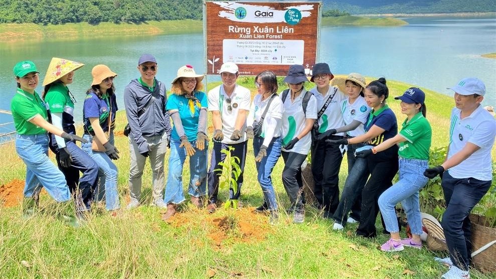 Manulife góp trồng 4.000 cây rừng, tiếp tục hành trình phủ xanh Việt Nam