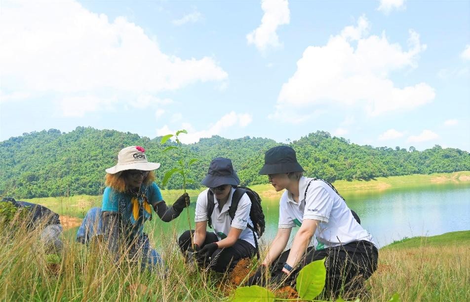 Trong những năm vừa qua, Manulife Việt Nam liên tục triển khai nhiều nỗ lực trong việc tái phủ xanh các cánh rừng, bảo vệ môi trường và cân bằng sinh thái.