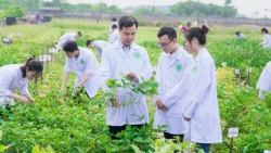 Học viện Nông nghiệp Việt Nam tuyển dụng 100 vị trí nhân sự