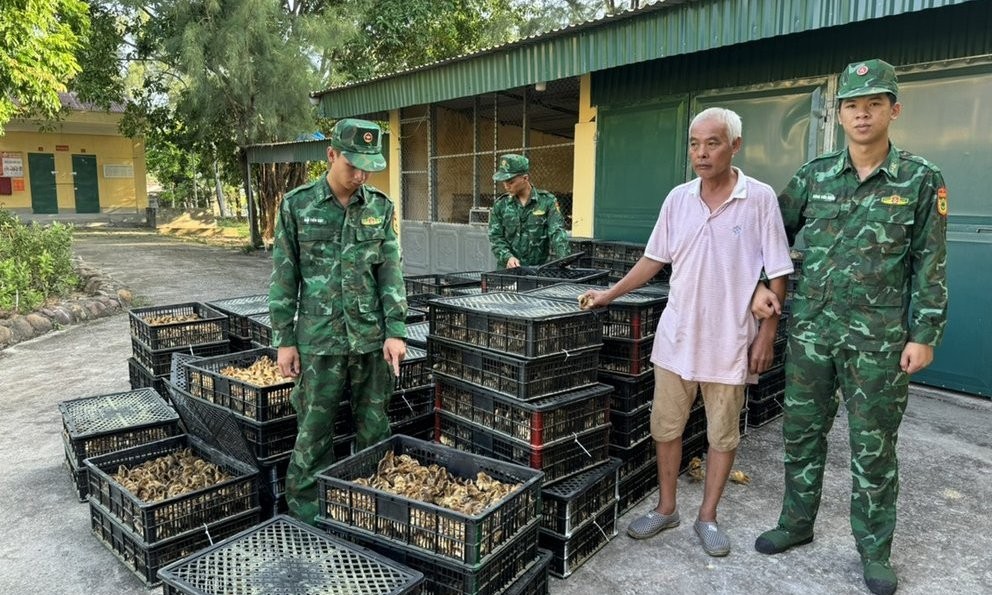 Gần 18.000 con gà giống nhập lậu sẽ được mang đi tiêu hủy.