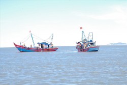 Thực hiện các giải pháp cấp bách, trọng tâm chống khai thác hải sản bất hợp pháp