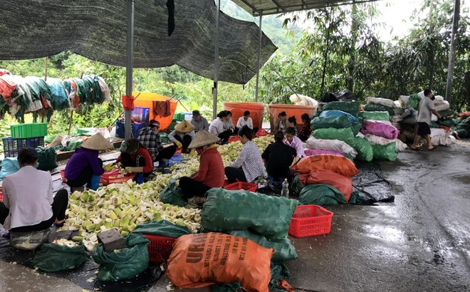 Yên Bái phát huy nội lực để giảm nghèo bền vững