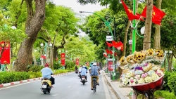 Phố phường Hà Nội điểm sắc hoa thu dịu dàng