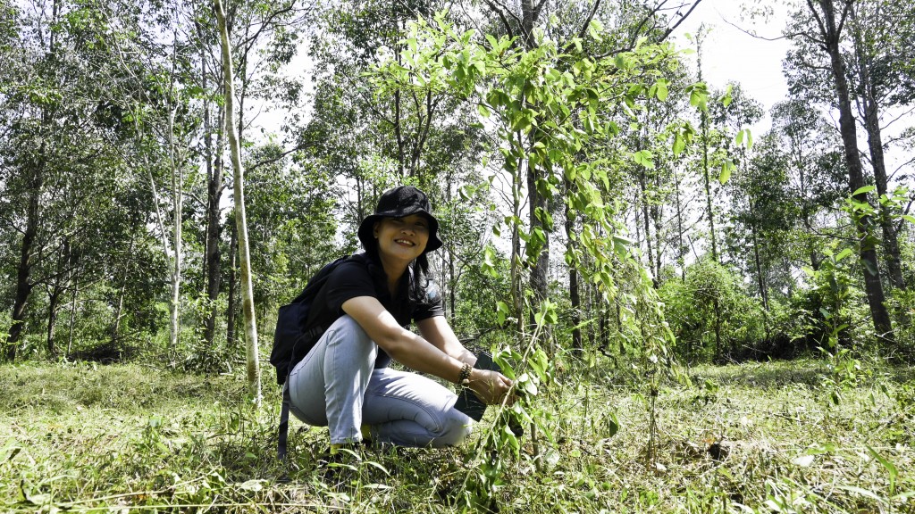 Kết nối nguồn lực trồng rừng, kiến tạo Việt Nam xanh hơn