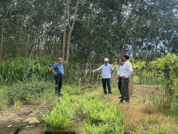 Phó Chủ tịch UBND thành phố Kon Tum kiểm tra lò giết mổ gia súc 