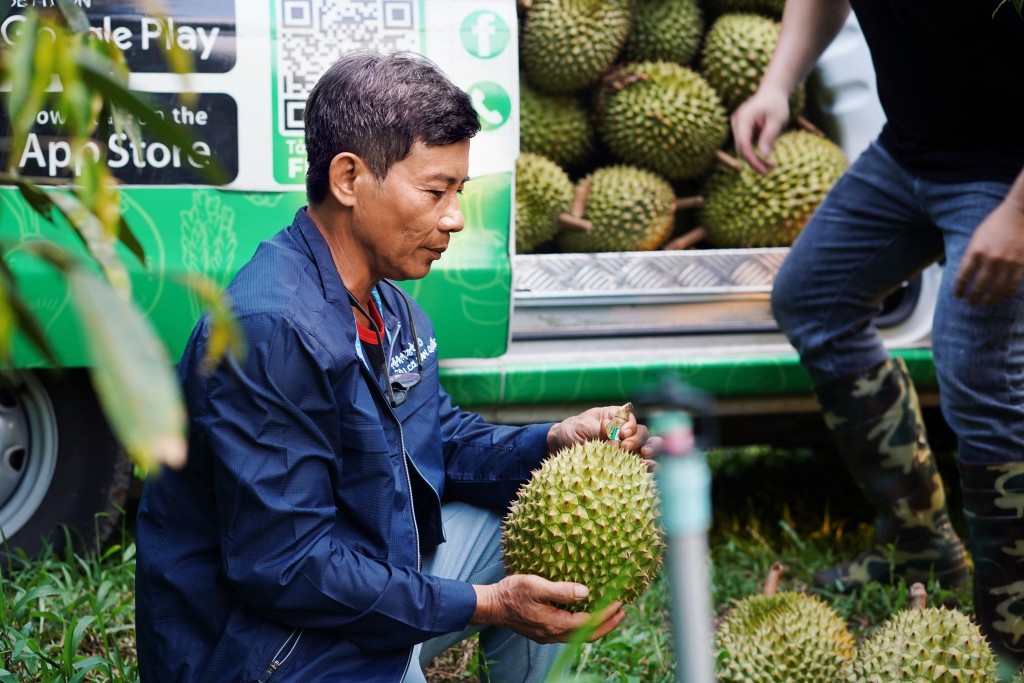 Ông Huỳnh Văn Quới, một chủ vườn sầu riêng tại Tây Ninh đạt được nhiều thành công khi hợp tác cùng dự án GrabConnect