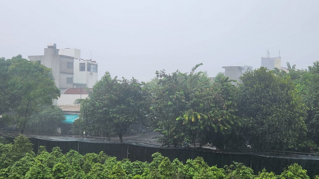 TP Đà Nẵng đã có mưa, mưa vừa, có nơi mưa to,
