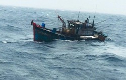 Tổ chức tìm kiếm, cứu nạn các ngư dân trên 2 tàu cá bị chìm tại khu vực đảo Song Tử Tây