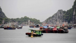 Quảng Ninh lên phương án ứng phó bão số 5